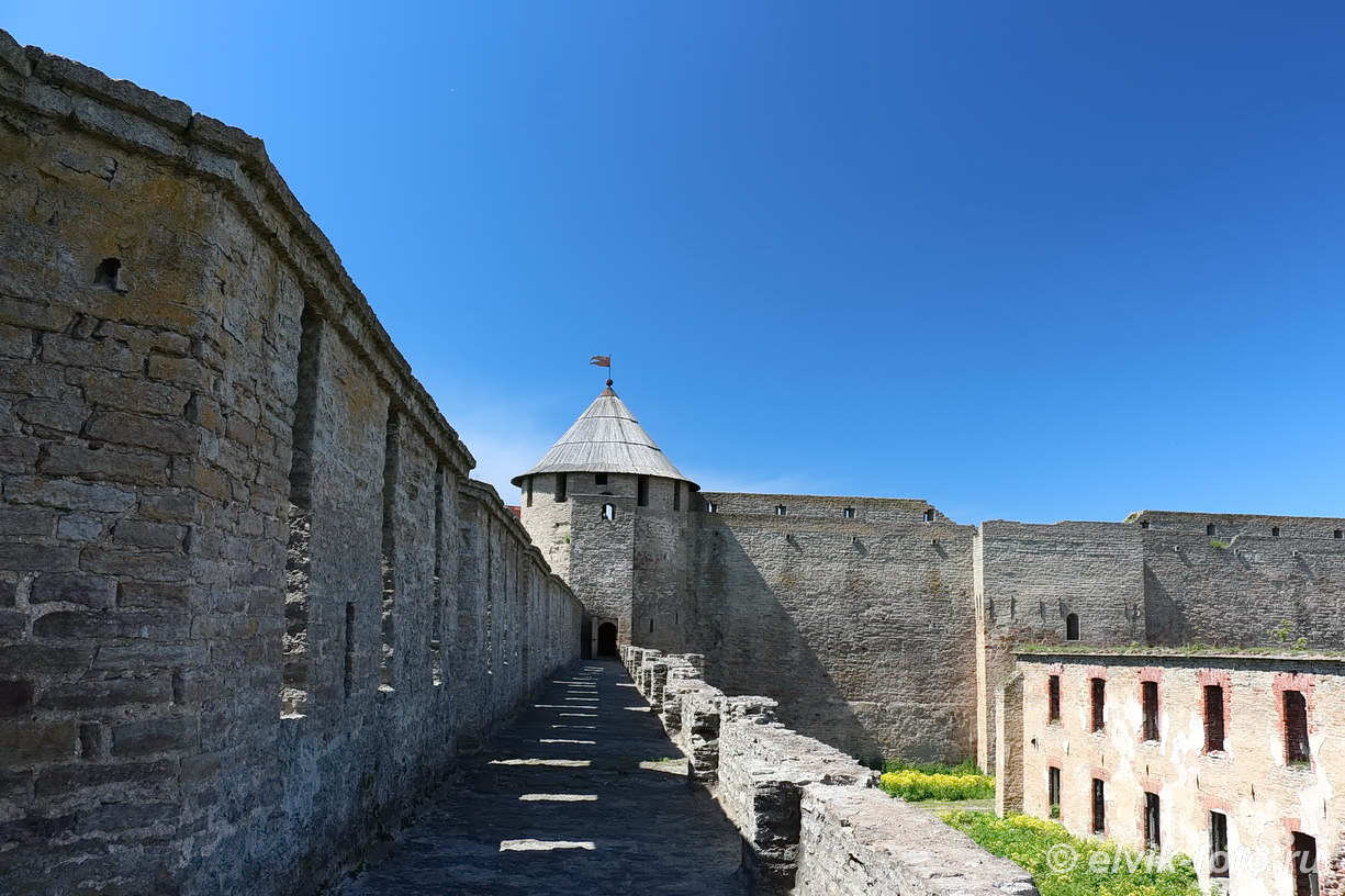 Ивангород замок 56