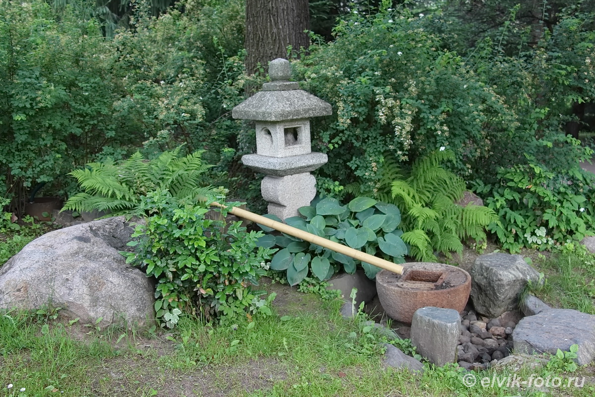 Японский сад 11
