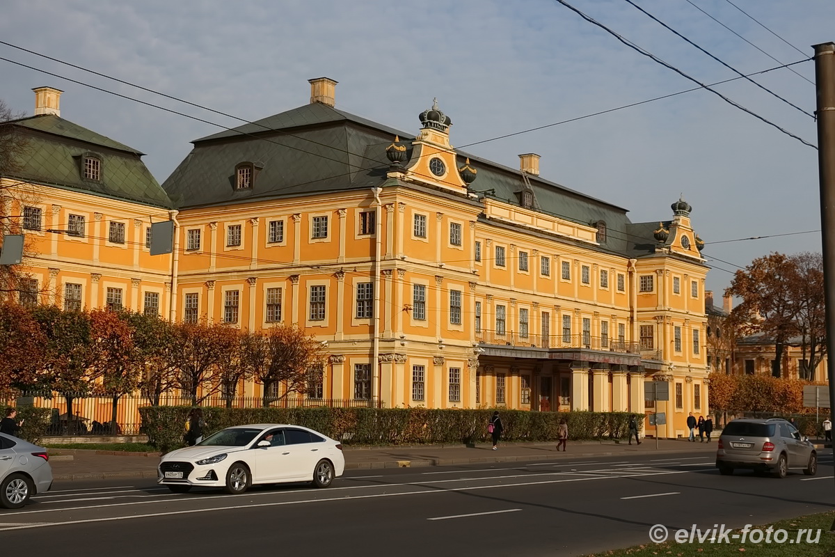 menshikov palace 1